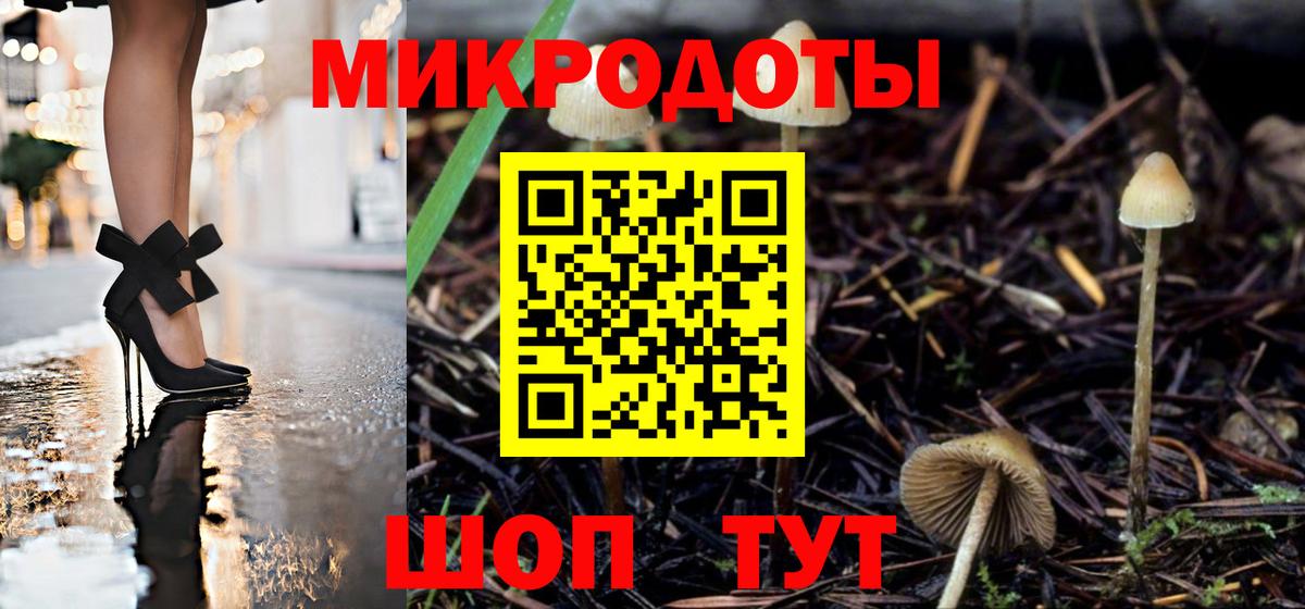 Гай  Псилоцибиновые грибы GOLDEN TEACHER  дарнет шоп  Вход с VPN 